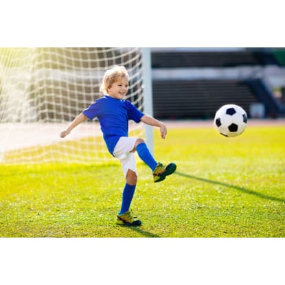 Niche Market Sports Product, Apparel and Equipment Outlet and National Online Webstore #411