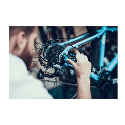 Bicycle Store