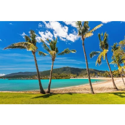 Luxury Whitsundays Resort Business with $463K Net Profit - ID 9194