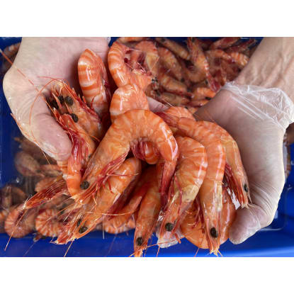Established Mobile Seafood Retail Business – Three Turnkey Outlets Included
