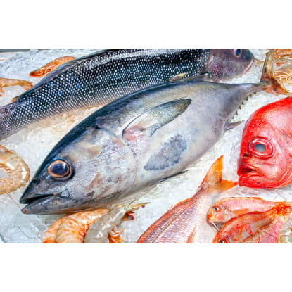Fish n Chips - Fresh Seafood - Major Shopping Centre - Sales $50000 p.w West Syd - F3510W