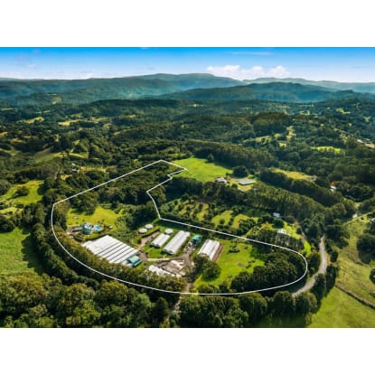 Established Wholesale Nursery with Freehold Byron Bay Hinterland