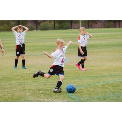 Niche Market Sports Product, Apparel and Equipment Outlet and National Online Webstore #411