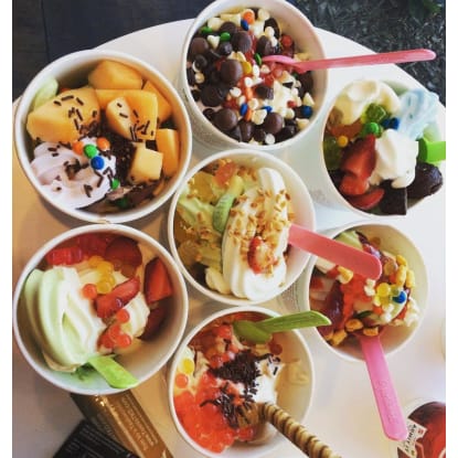 Frozen Yogurt Franchise - Established Business - Urgent Sale
