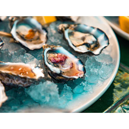 Seafood Retail Business – Heidelberg [2609251]