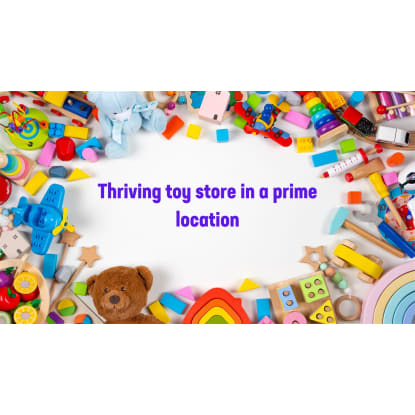 Established toy store is ready for more success!