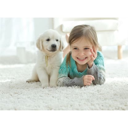 Established Flooring and Window Furnishings Business-Mackay