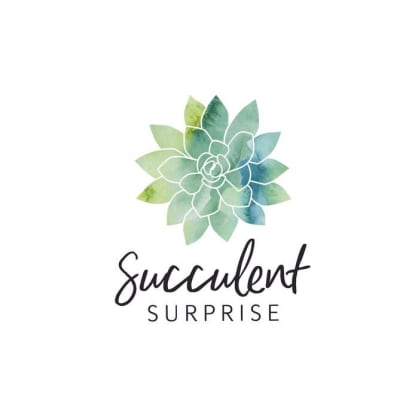 Succulent Surprise - Established Online Plant Store and Gifting Brand - National Opportunity