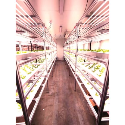 Climate-Controlled Greenhouse Equipment & Site Transfer in Laverton