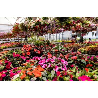 Established Garden Centre and Landscape Supplies with Significant Growth Potential