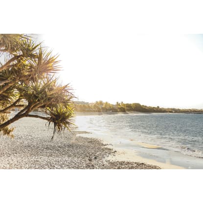 Art and Retail Business for Sale – Iconic Hastings Street, Noosa Heads location