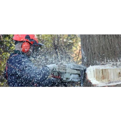 Tree Services