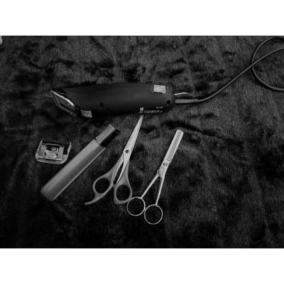 Barber Shop Southern Suburbs for sale