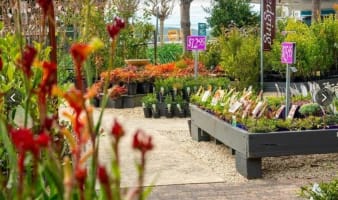 NURSERY/RETAIL & WHOLESALE  -- WOORI YALLOCK  -- 1P10735