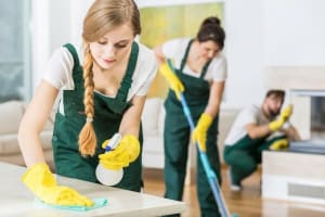 Long-Standing Cleaning Services Business