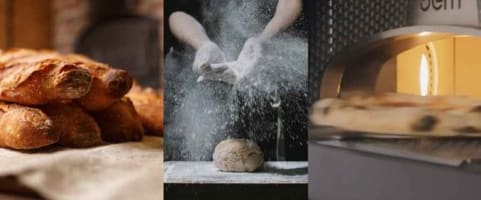 Arerewaladkv7dmou8ec