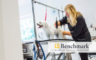 Fully Managed Grooming Salon | Rare Opportunity | Profitable & Well-Established