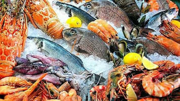 Ref: 3101, *MONEY MAKER* Seafood, Eastern Suburbs