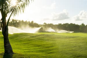 Cndsm3e5bnmdf8zgw3ys