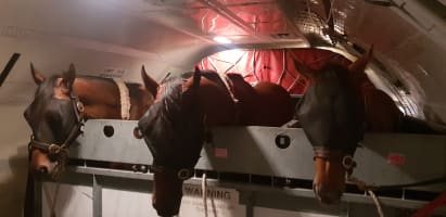 Cxufbauaduvysta63gvi