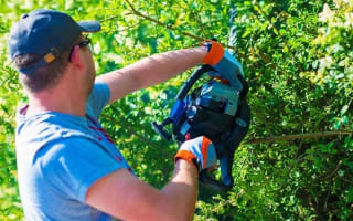 Profitable Outdoor Power Equipment Dealership
