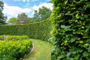 BAYSIDE TERRITORY – MOBILE HEDGE & GARDEN SERVICE BUSINESS | HIGH MARGINS