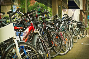 Tricycles Made to Measure Business for sale