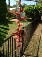 Fencing -  Fabrication -  Building and Construction - Fencing business with fabrication workshop ...