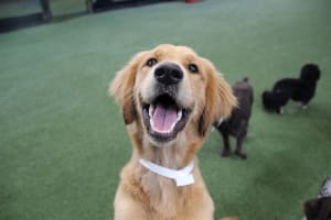 Ffscwsof1ztso6xhn8rg