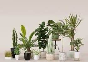 ARTIFICIAL PLANTS--MITCHAM --1P10820