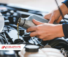 Established Automotive Franchise