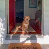 Gadjno76qauisji4tava