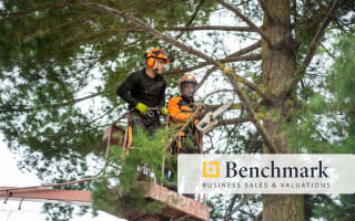 Tier 1 QAA Arborist Contractor – SEQ Council