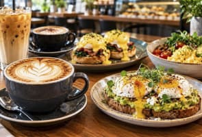 Top Notch Cafe - Immaculate Presentation - 37691