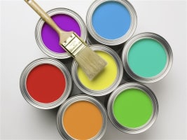 Iconic Paint Store Franchise