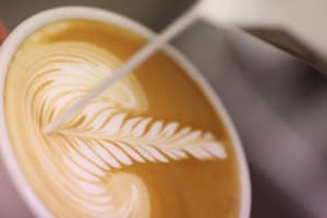 Well Presented Cafe - Nothing To Spend - 37547