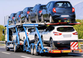 Priced To Sell - Car Transport Business For Sale  - Earning $11,000 per week net - Sydney based