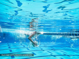 Hvhc9plmmfhxptrbrozi