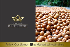 Im3fyzbdpwbngbwoh1dz