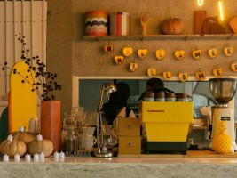 Prime Opportunity: Charming Renovated Gem in Growth Hotspot, Rocklea QLD