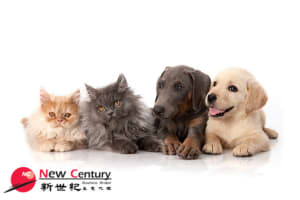 Kvbdxum26lh5yxxsq1rv