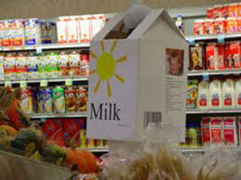 Milk Bar & Convenience Store for Sale  Western Suburbs – Ref: BD-1053