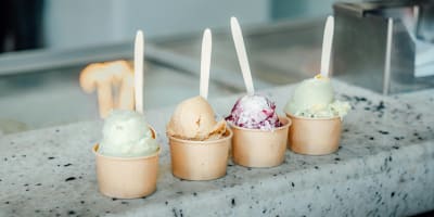 Global Brand Ice Cream Franchise Chain