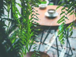 Rare Chance to Own a Standout Lifestyle Cafe in Robina