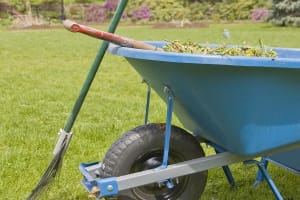 Garden - Services - Landscaping - Nets $3,793 p.w. - 5 Days - Sydney  - SF1664