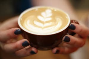 Port Douglas Business for Sale | Lifestyle & Investment Opportunity