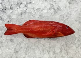 Fresh Seafood and Gourmet Take-Away Store