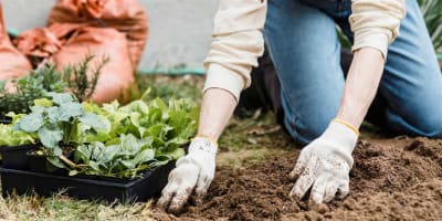 Py01amy4ecm96460gosd