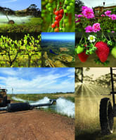 Qgefpbb8qs0up8tfkz4b