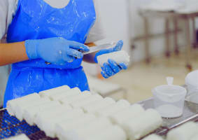 Freehold Food Manufacturing Business with Residence - Ref: 16561